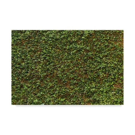 1X Prints 'Green Ivy Leaves Wall' Canvas Art,22x32